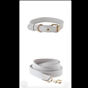 Saffiano Collar & Leash Set in Grey New